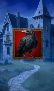 Jack O'Wild